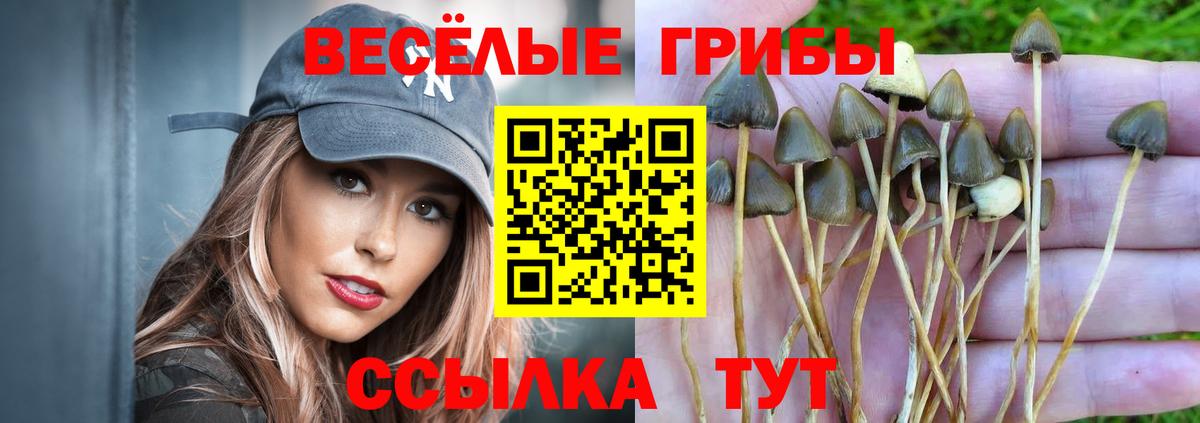 Галлюциногенные грибы ЛСД Красноперекопск